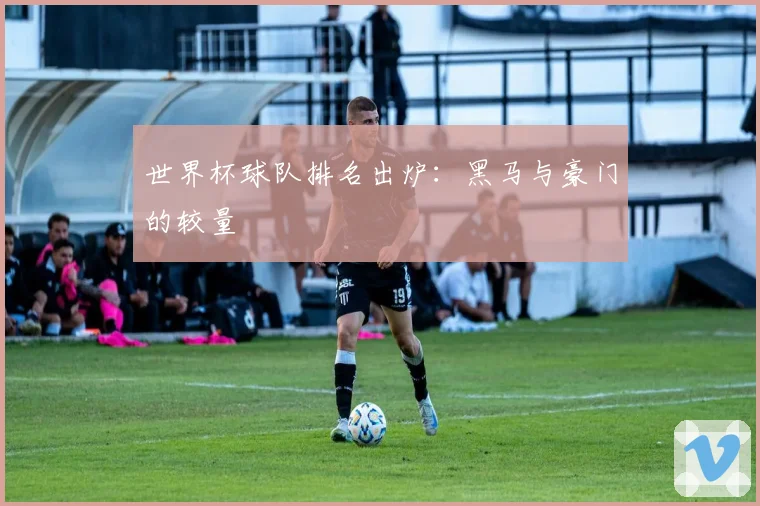 世界杯球队排名出炉:黑马与豪门的较量