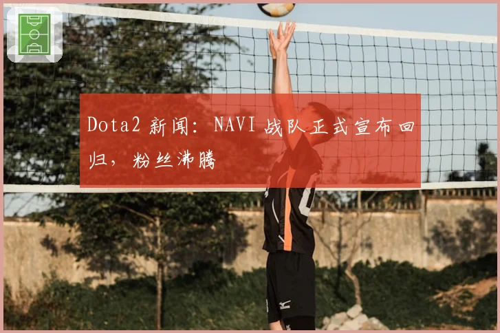 Dota2 新闻：NAVI 战队正式宣布回归，粉丝沸腾