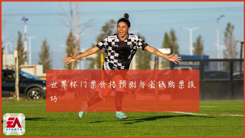 世界杯门票价格预测与省钱购票技巧